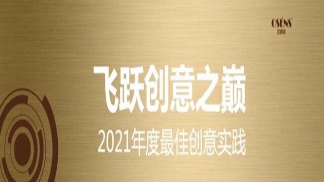 中国知名品牌策划公司2021年飞跃创意之巅最佳创意实战案例