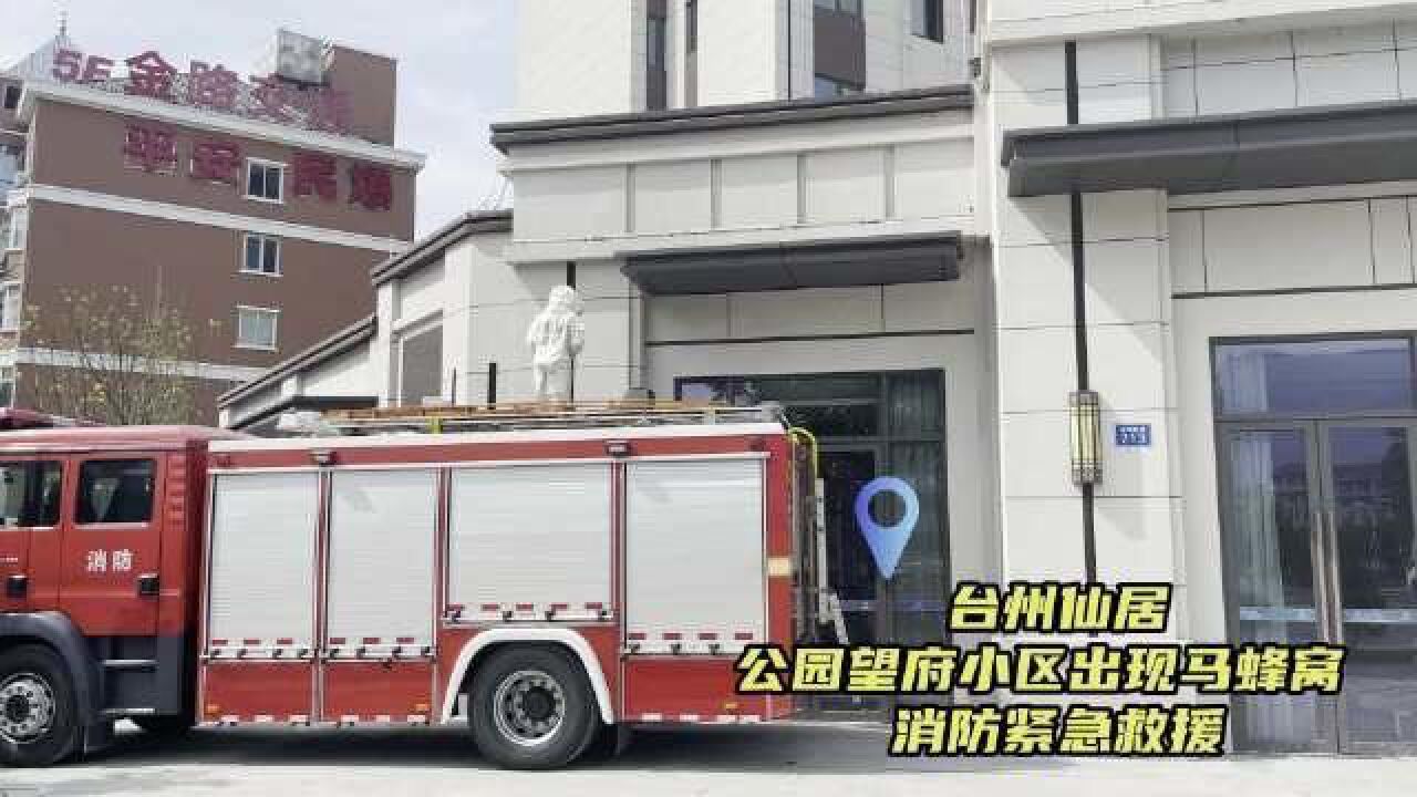 台州 马蜂窝扰民 消防紧急救援