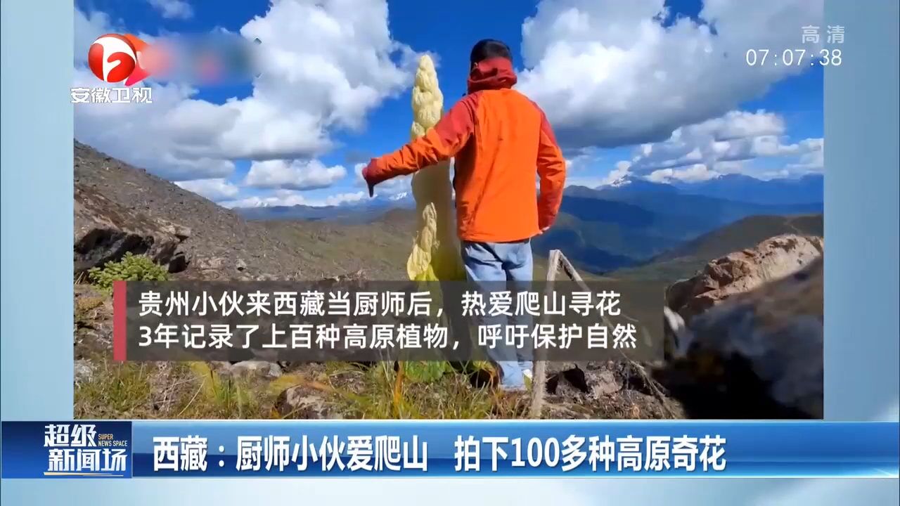 西藏:厨师小伙爱爬山,拍下100多种高原奇花