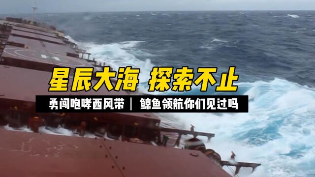 加油花了875万,勇闯咆哮西风带,大西洋鲸鱼领航我也是第一次见