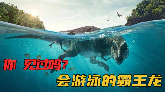 2022年最震撼纪录片,带你走进恐龙时代,看看恐龙们是怎么干架的