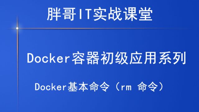 Docker基本命令(rm 命令)中22