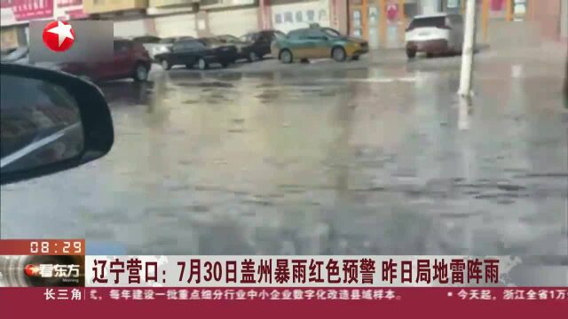 辽宁营口:7月30日盖州暴雨红色预警 昨日局地雷阵雨