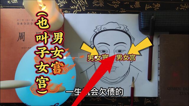 誉坤麻衣神相:男女宫(也叫子女宫)