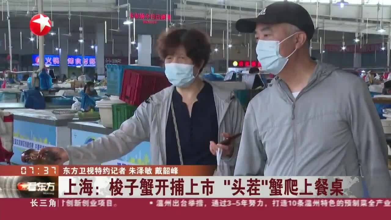 上海:梭子蟹开捕上市“头茬”蟹爬上餐桌