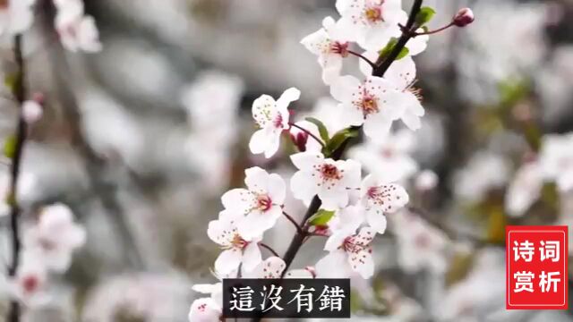 诗词赏析 | 苏轼《满庭芳ⷮŠ蜗角虚名》