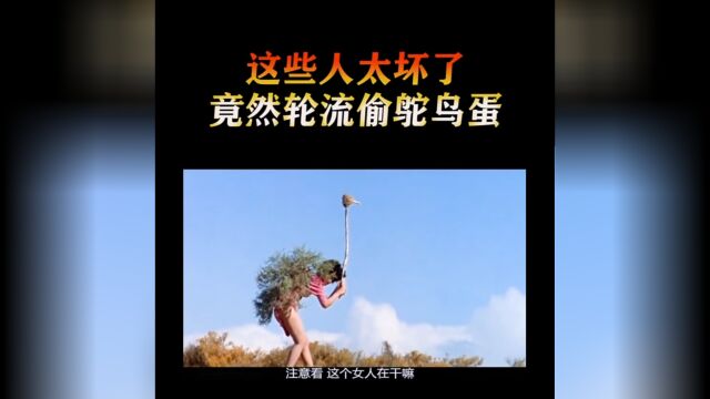 科学家和美女的冒险之旅 经典爆笑喜剧《上帝也疯狂2》2/3