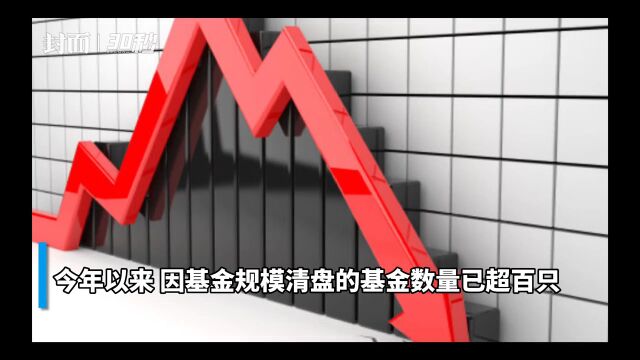 30秒 | 基金市场分化 迷你基金占比近一成