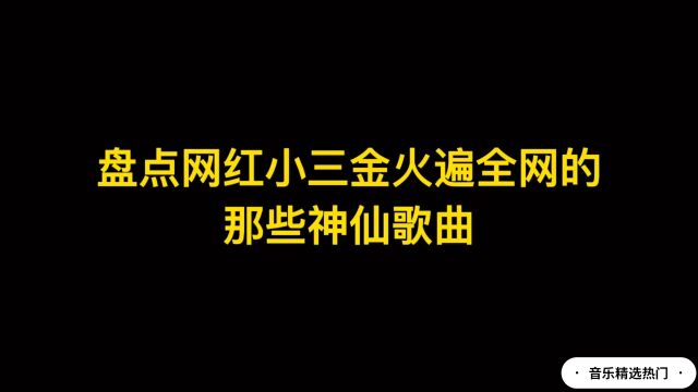 盘点网红小三金火遍全网的那些神曲,全部听过的 ,绝对是大神.