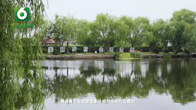 嘉兴市嘉善县水利局:水系综合治理助推乡村振兴 共同富裕