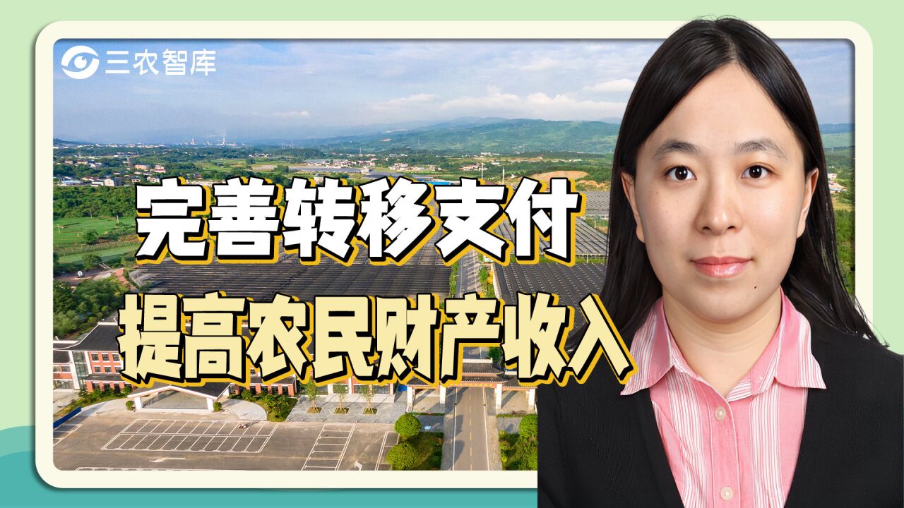 如何缩小城乡收入差距?杨穗:要积极完善转移支付收入分配