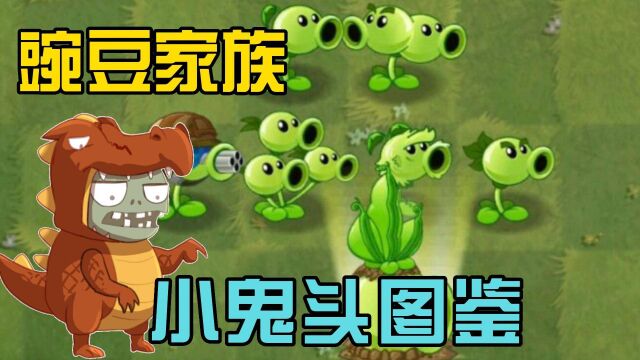 植物大战僵尸:小鬼头植物图鉴,豌豆射手家族!(上)