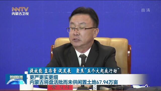 更严更实更细 内蒙古将盘活批而未供闲置土地67.94万亩