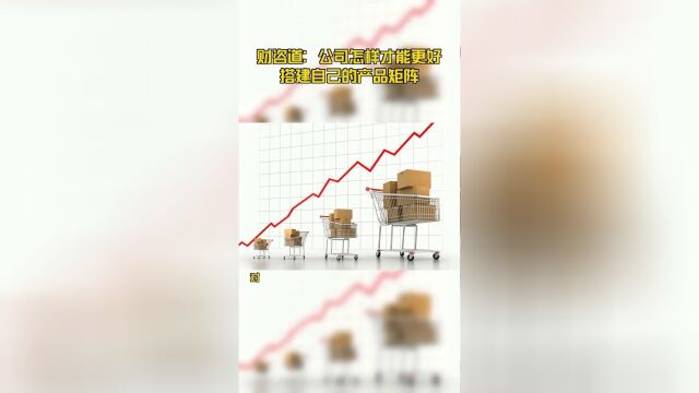 财咨道:公司怎样才能更好搭建自己的产品矩阵