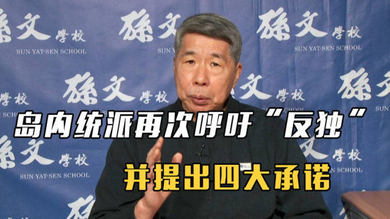 为设“非战和平区”,岛内统派再次呼吁“反独”,并提出四大承诺