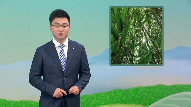 生态文明在贵州 | 西秀:畅游虹山湖生态市民公园