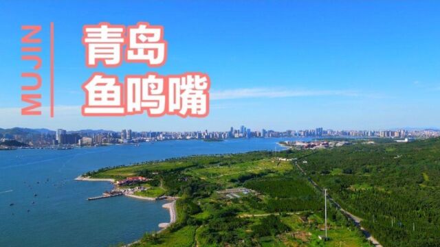 青岛西海岸新区,鱼鸣嘴