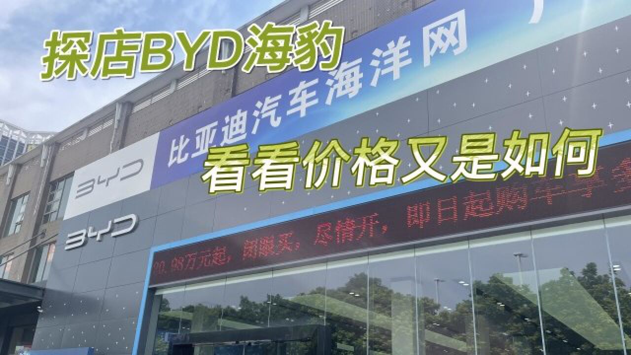 探店BYD海豹,看看价格又是如何