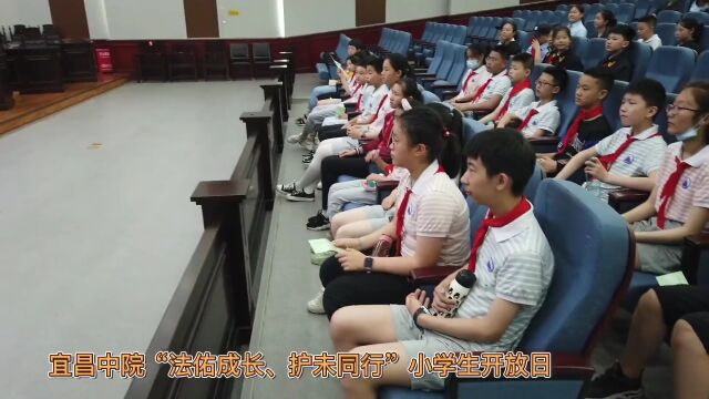 湖北省宜昌市中级人民法院温情守护“少年的你”