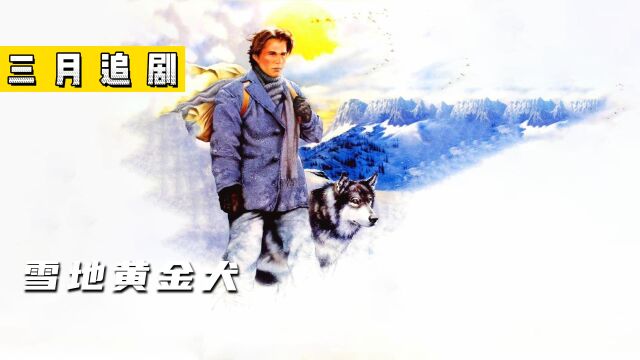 《雪地黄金犬》小狼狗被迫成为斗犬,被小伙救下相互救赎