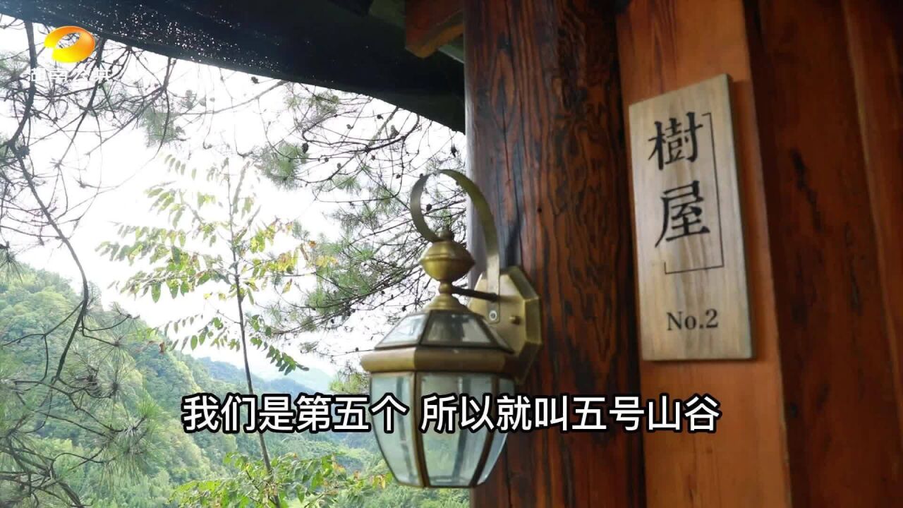 这座像 “老家”的民宿 还是乡村振兴主力军