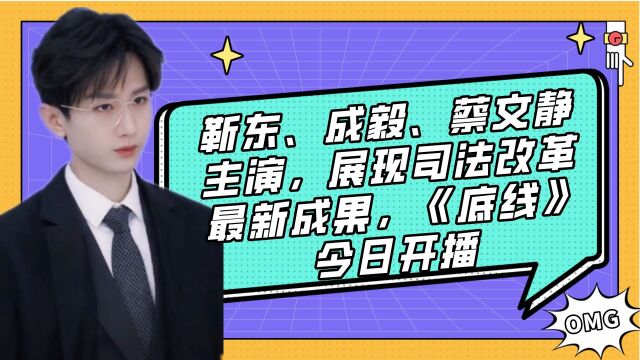 靳东、成毅、蔡文静主演,展现司法改革最新成果,《底线》今日开播