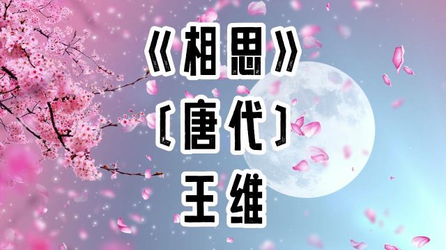 胖胖六读古诗《相思》王维 〔唐代〕