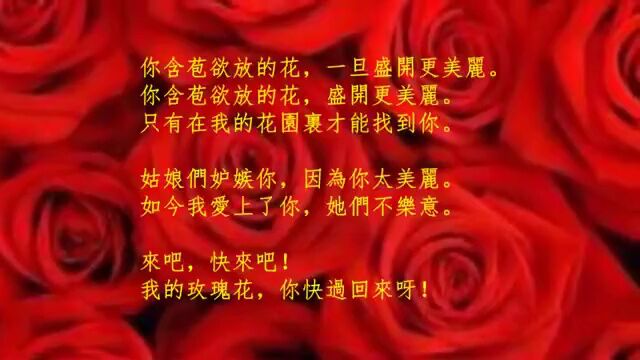 男女三重唱《含苞欲放的花》