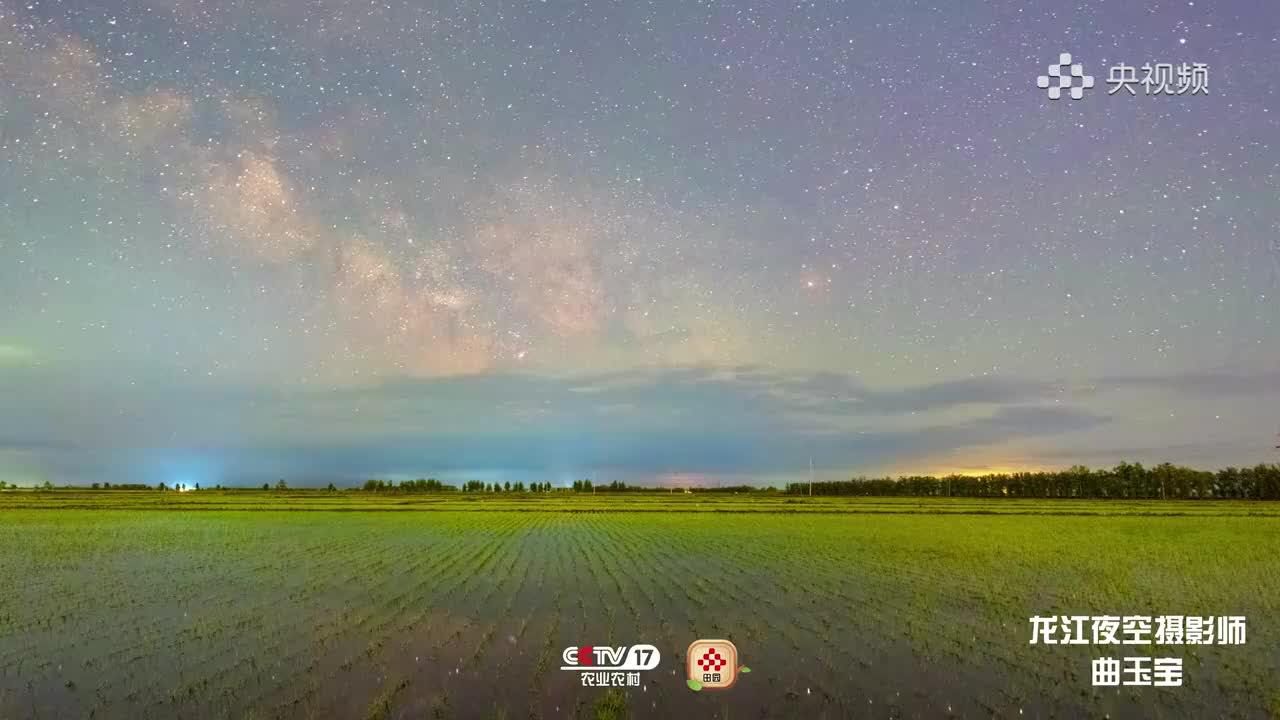 难得一见!璀璨星空下的稻田有多美