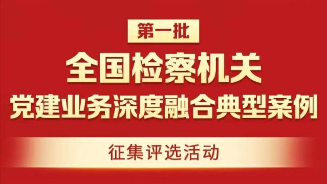 广东省人民检察院第八检察部党支部