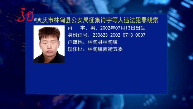 大庆林甸警方征集肖宇等人违法犯罪线索