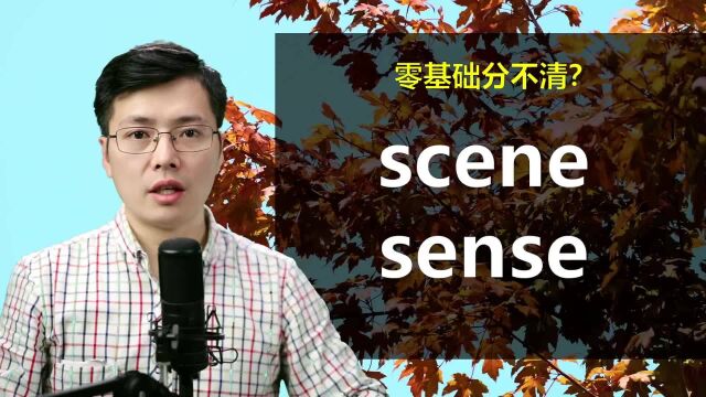 这两个英语单词scene和sense总是记混的有吗?跟老师学发音语法