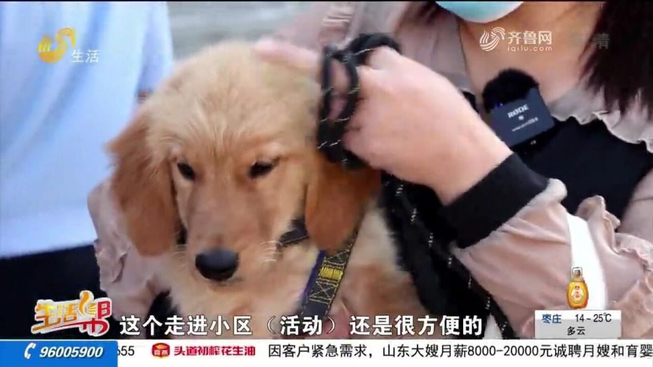 文明养犬服务进社区,登记、拍照、打疫苗,一站式免费办理狗证