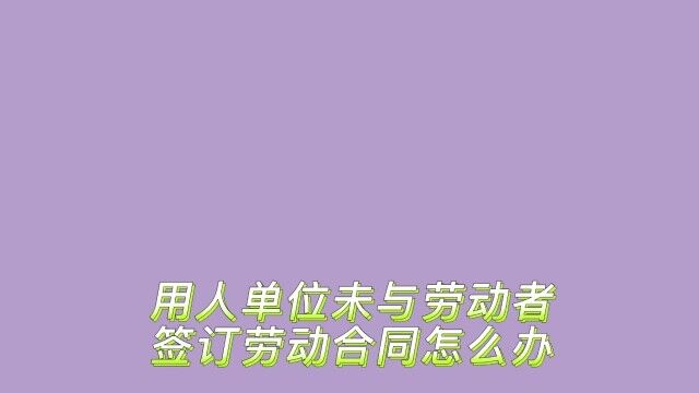 用人单位未与劳动者签订劳动合同怎么办