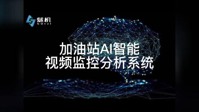 加油站AI智能视频监控分析系统