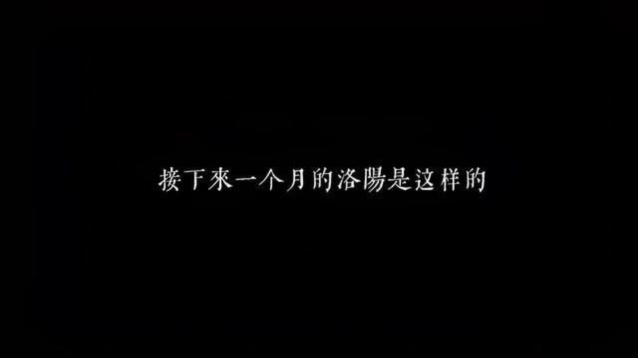 接下来一个月的洛阳是这样的,你想陪谁一起看