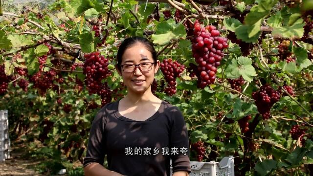 我的家乡我来夸:丰收满园香 农民奔小康