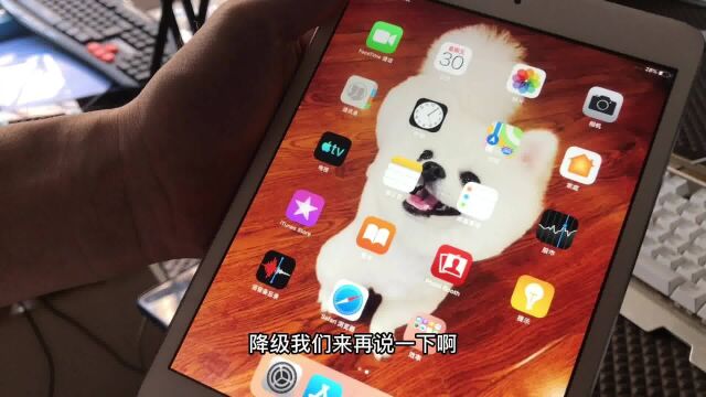 ipadmini2降级刷流畅抖音,4s绕ID,iPad4移除ID降级8.4.1