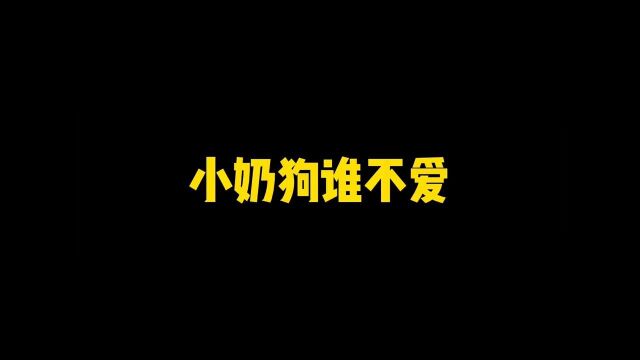 捏拿奶狗弟弟