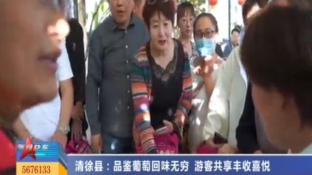 清徐县:品鉴葡萄回味无穷,游客共享丰收喜悦