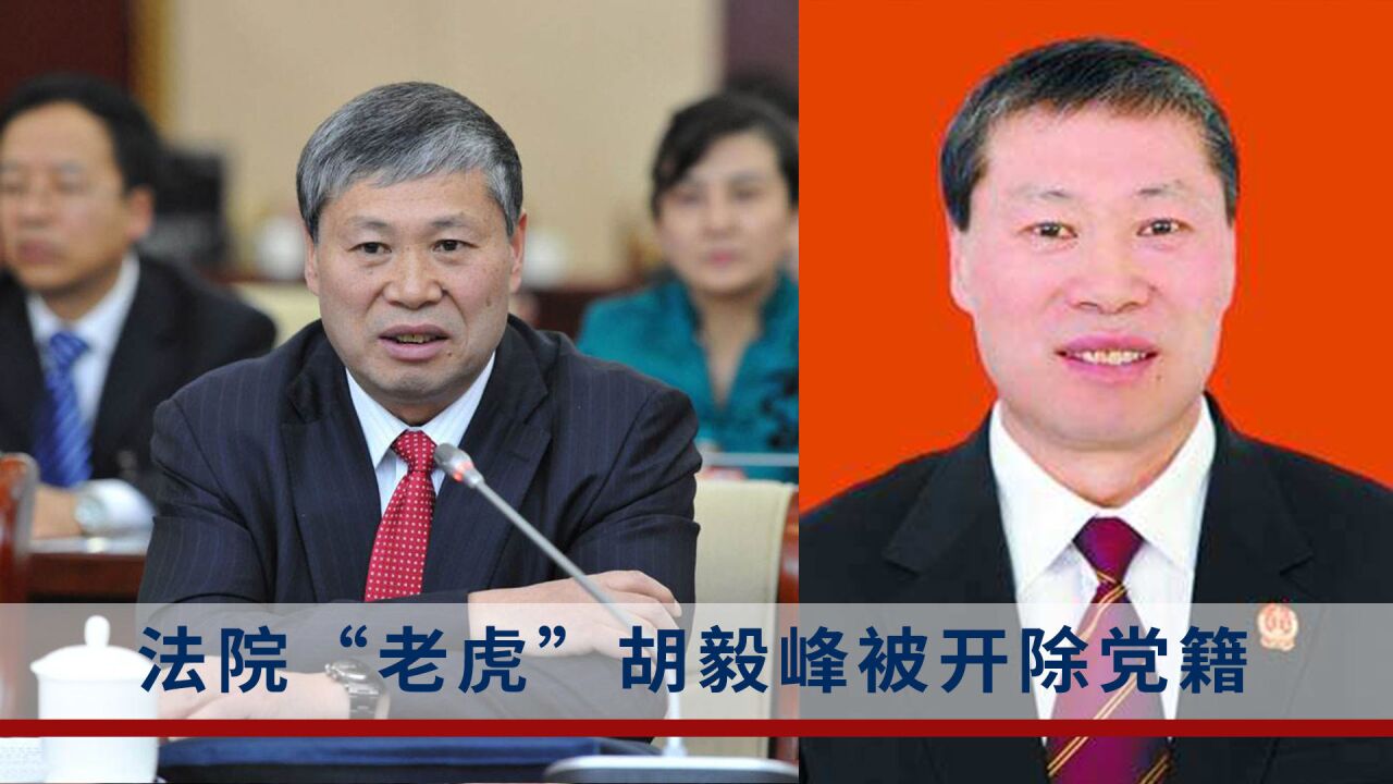 以案谋私!内蒙古自治区高级人民法院院长胡毅峰被开除党籍