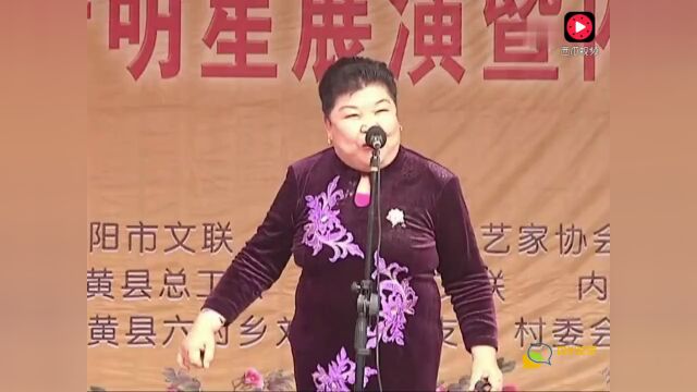 王巧珍演唱河南坠子《杨家将》选段