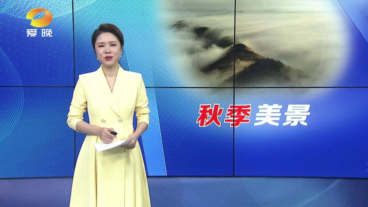 云海奇观 宛若仙境