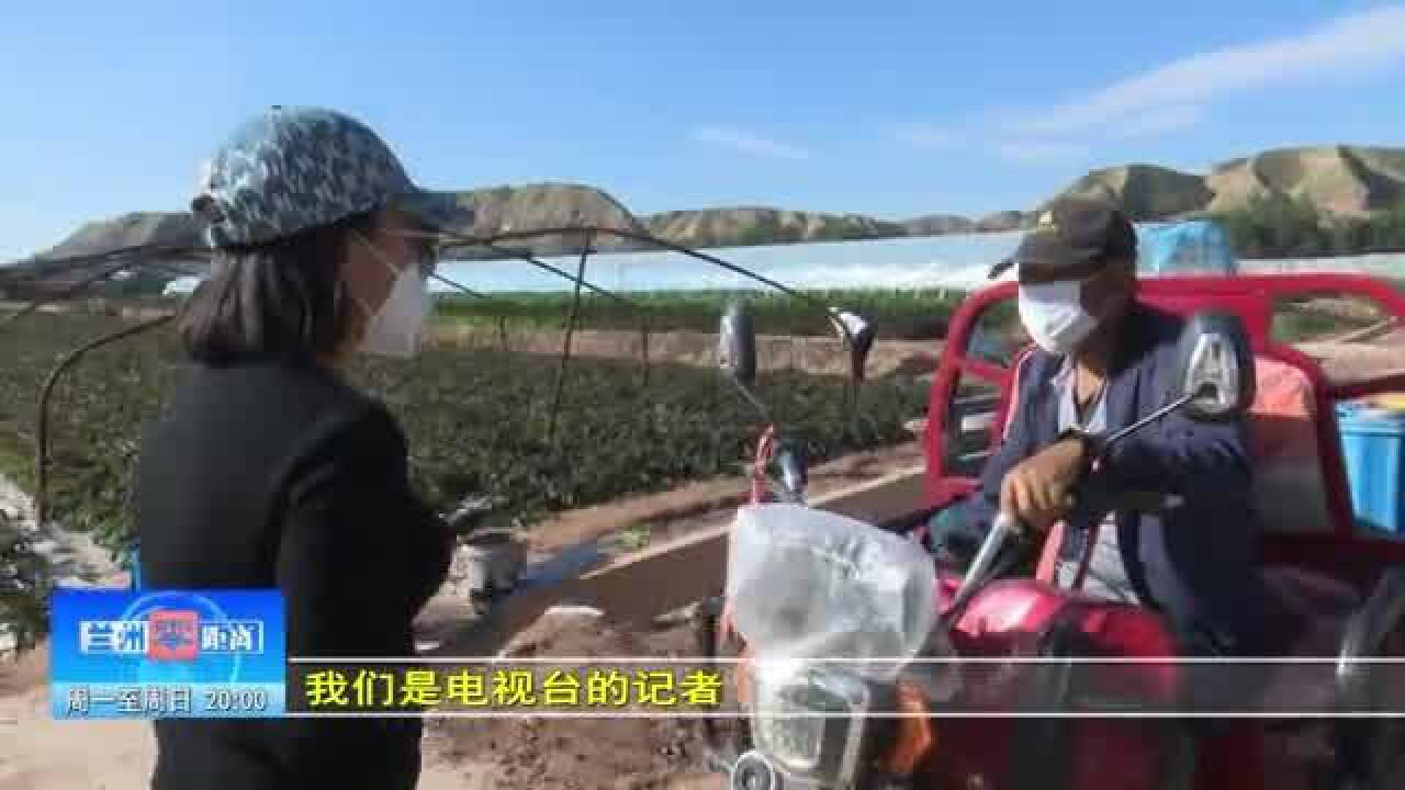 【兰州零距离】邓成昌:种植养殖齐开花 带动村民奔小康