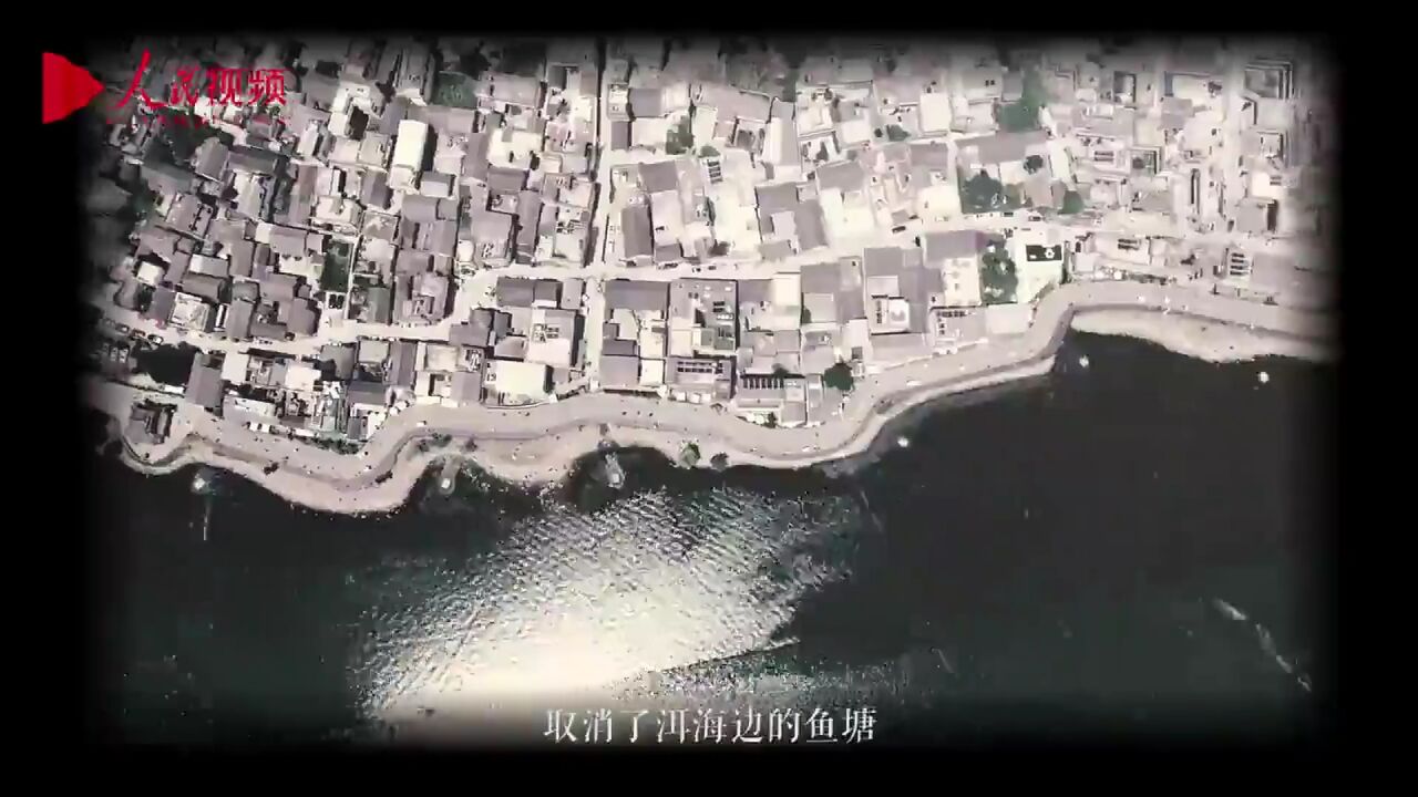 跟着总书记看中国|守护洱海清波