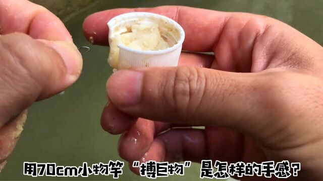 70cm小物竿“搏巨物”是怎样的手感?