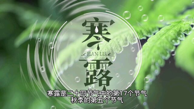 2022年10月8日,二十四节气之寒露由来和习俗