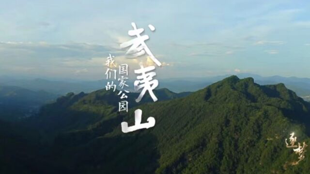 《武夷山ⷦˆ‘们的国家公园》之《丹山碧水的秘境》:巨大的海拔落差创造出不同高度上不同的温湿环境,形成武夷山植物多样性垂直带谱.生命在这里奏...