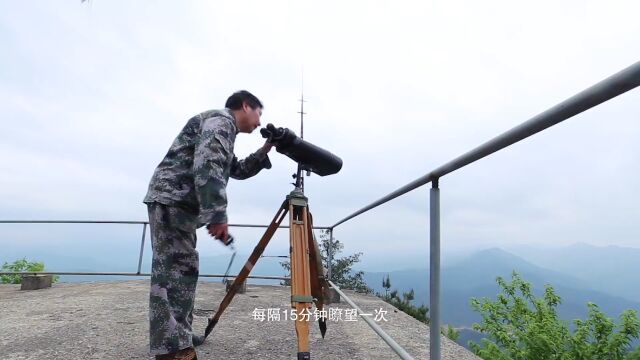 速转!平度正式进入……这几种行为别做