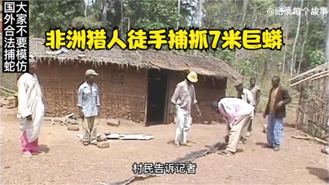 非洲捕蛇人神仙般操作捕抓到7米巨蟒,一张蟒蛇皮就够一年生活费